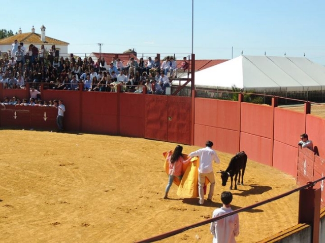  Corrida con la giovenca